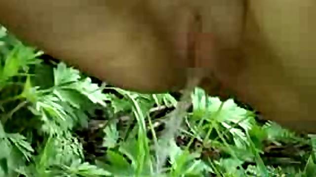 Outdoors Pissing In Public