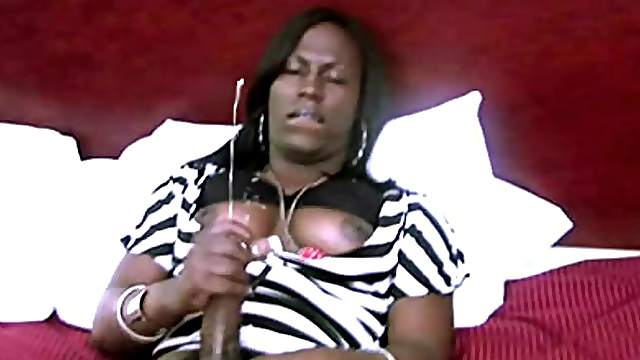 Big cock black tranny in bed and jerking off her sexy dick