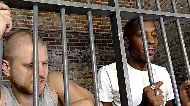 Impressive black guy has his huge pecker sucked by the white partner