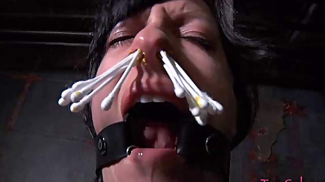 Slave yelling when tortured using pegs in BDSM porn