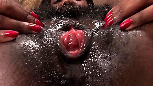 Beneath that black brillo of a bush, Nina Devons pussy is always horny.