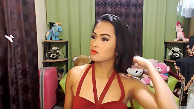 Shemale played with her big hard cock in front of her cam.