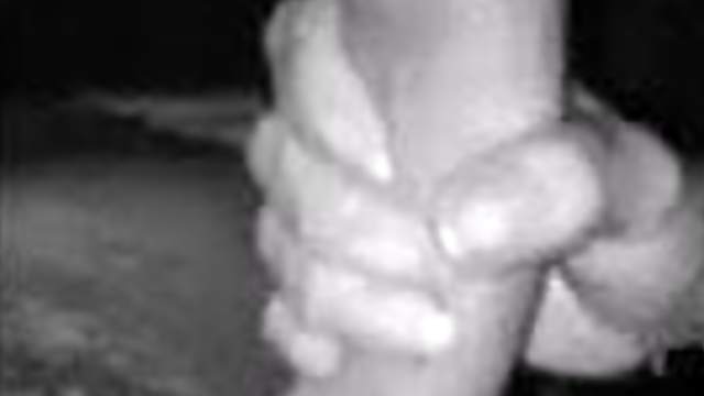 Tunisian girl jerking off huge dick