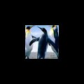 PattuAmmal's Avatar