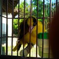 rida surya sadewa's Avatar