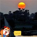 Marc888's Avatar