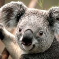 thomo2210's Avatar