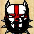 steven lamb's Avatar