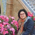 hosung lee's Avatar