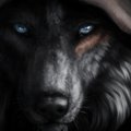Hades_777's Avatar