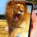 pavlik95's Avatar