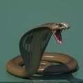 wolrad's Avatar