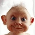 Willem Broxks's Avatar