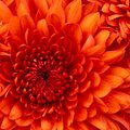 raju777888ook's Avatar