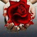Saleemyaba Qureshi's Avatar