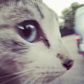 andres rodrigo mckay olivos's Avatar