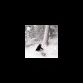 atomic14er's Avatar