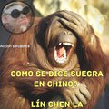 Manolo Manolin's Avatar