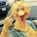 guilty pilgrum's Avatar