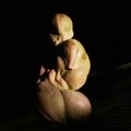 Andrej Opaka's Avatar