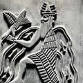 Daniel Shoylekov's Avatar
