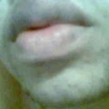 Leandro Rodrigues's Avatar