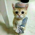 Khairul Nizam Abu Hassan Asaari's Avatar