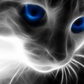Sumakes9's Avatar