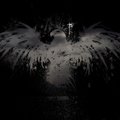 Folette19's Avatar
