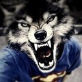 Андрей Тима's Avatar