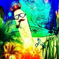 gurrarrs's Avatar