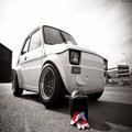 Jedyny Taki's Avatar