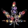 Wicked.Kitty's Avatar