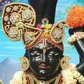 arul jothi's Avatar