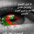 ahmed mourad's Avatar