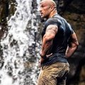 larbi hendouze's Avatar
