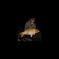 steve delaney's Avatar