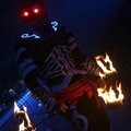 Pavel Novák's Avatar