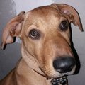 eric romero's Avatar
