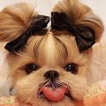 uzynja1954's Avatar