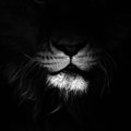 Q8y79's Avatar