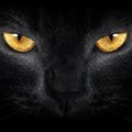 MiBwMrQ's Avatar