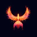 waelshehata's Avatar
