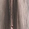 sijus's Avatar