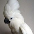 dave60573's Avatar