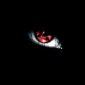 LovePussySoMuch's Avatar
