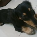 p9127912's Avatar