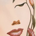 Slava_2016's Avatar
