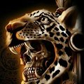 oscar81's Avatar