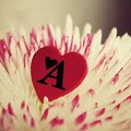 bero's Avatar